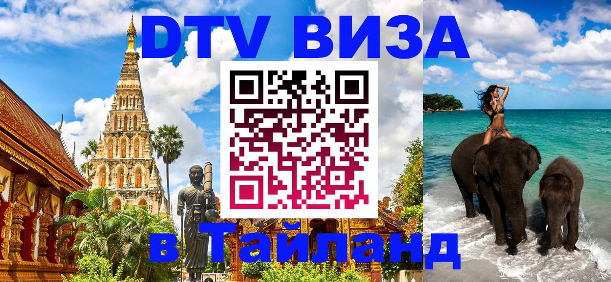 Сколько стоит DTV виза — актуальные цены, оформление даже без документов - 20.11.2025 